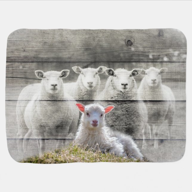 Sheep Flock Baby Lamb Blanket (Horizontal)