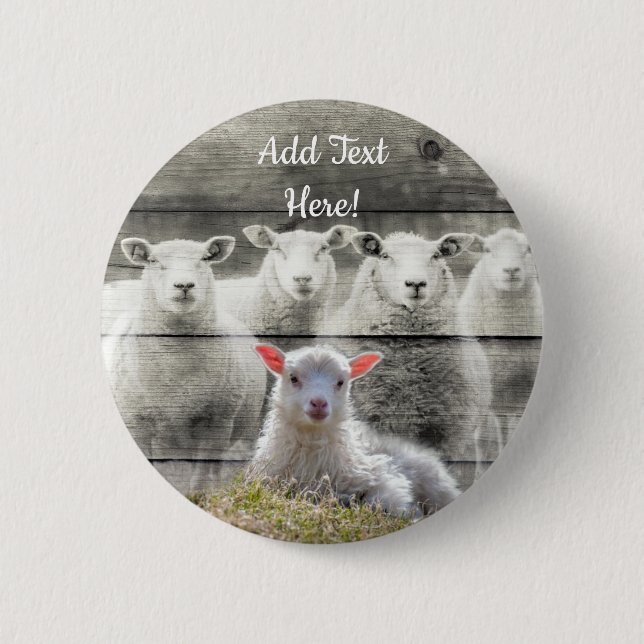Sheep Flock Baby Lamb Button (Front)