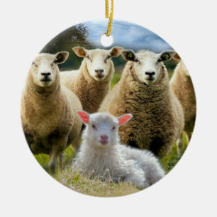 Sheep Flock Baby Lamb Ceramic Ornament