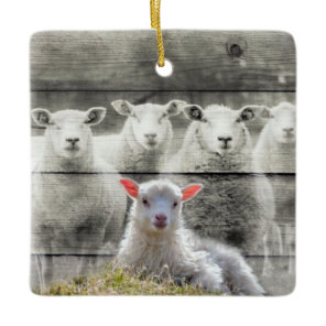 Sheep Flock Baby Lamb Ceramic Ornament