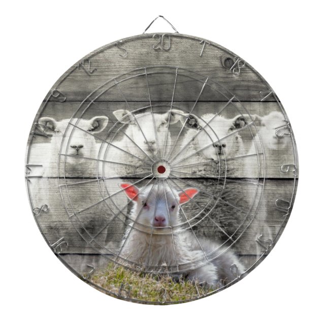 Sheep Flock Baby Lamb Dart Board (Front)