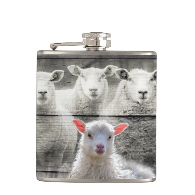 Sheep Flock Baby Lamb Flask (Front)