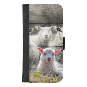 Sheep Flock Baby Lamb iPhone 8/7 Plus Wallet Case