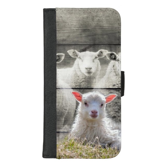 Sheep Flock Baby Lamb iPhone Wallet Case (Front)