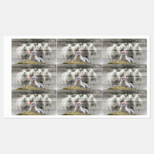 Sheep Flock Baby Lamb Labels