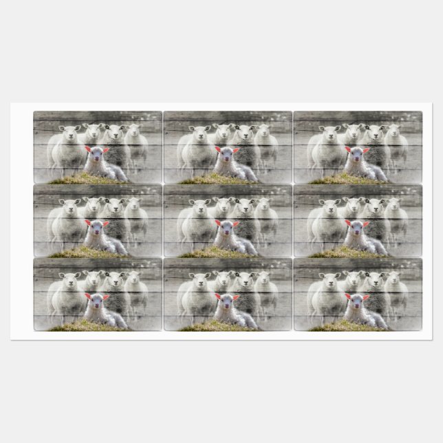 Sheep Flock Baby Lamb Labels (Sheet)
