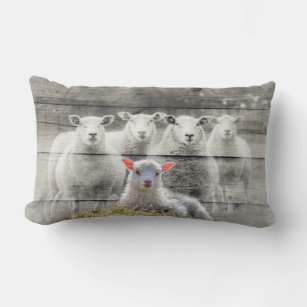 Sheep Flock Baby Lamb Lumbar Pillow