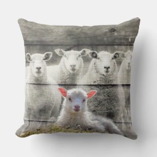 Sheep Flock Baby Lamb Lumbar Pillow