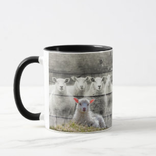 Sheep Flock Baby Lamb Mug