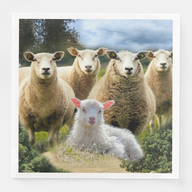 Sheep Flock Baby Lamb Paper Dinner Napkins (Front)