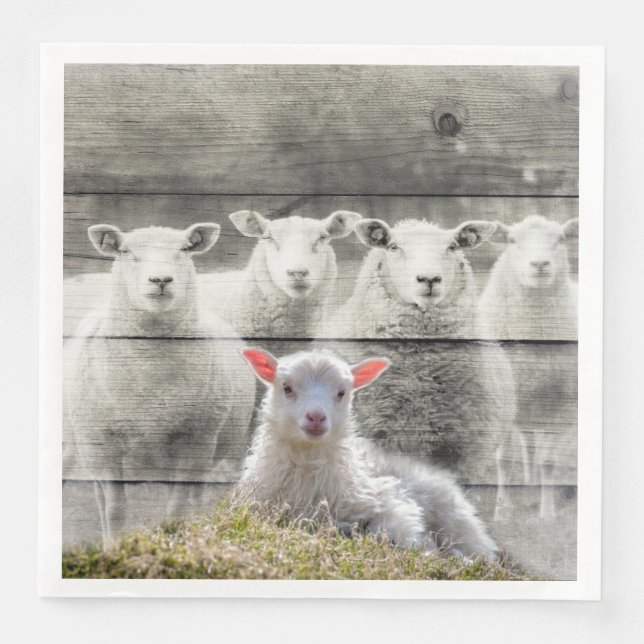 Sheep Flock Baby Lamb Paper Dinner Napkins (Front)