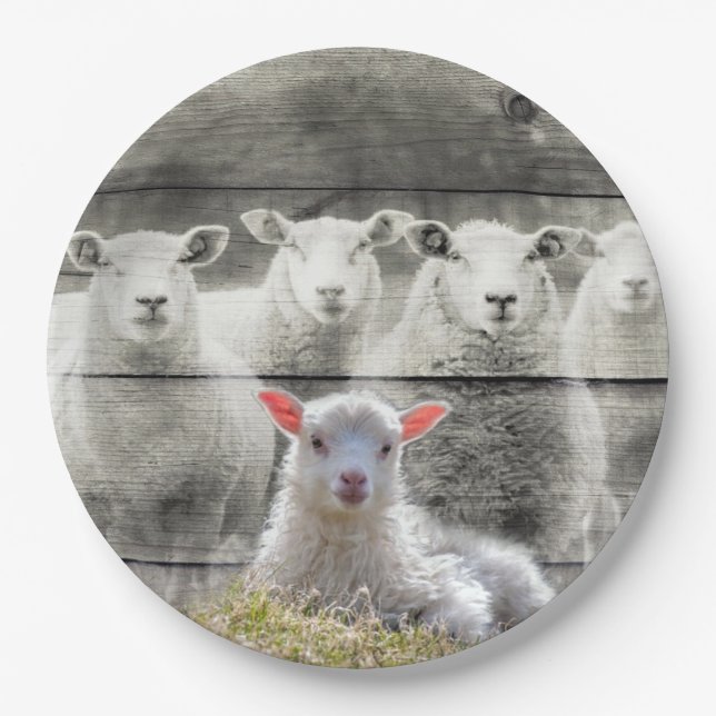 Sheep Flock Baby Lamb Paper Plates (Front)