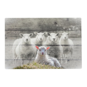 Sheep Flock Baby Lamb Placemat