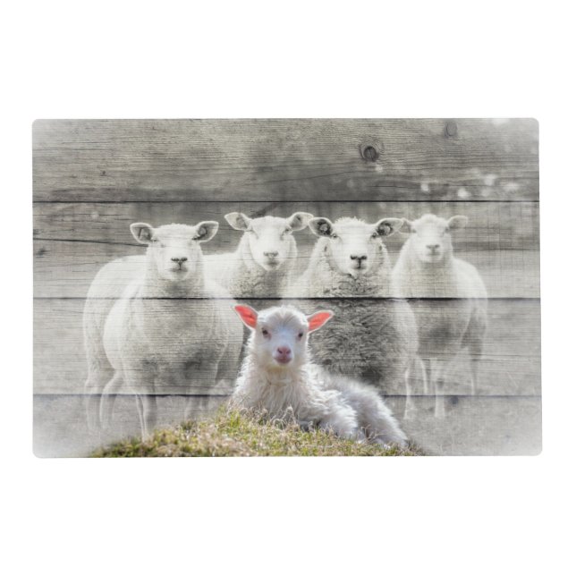 Sheep Flock Baby Lamb Placemat (Front)