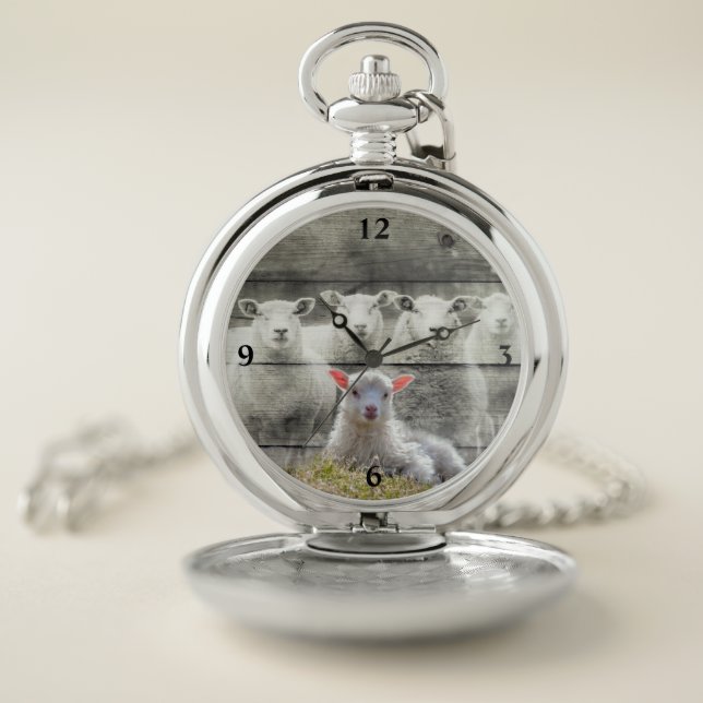 Sheep Flock Baby Lamb Pocket Watch (Inside)