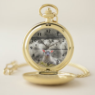 Sheep Flock Baby Lamb Pocket Watch