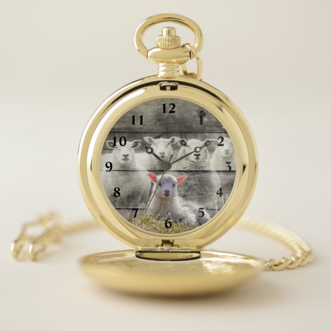 Sheep Flock Baby Lamb Pocket Watch (Inside)