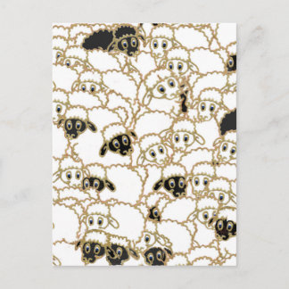 sheep flock black and white postcard