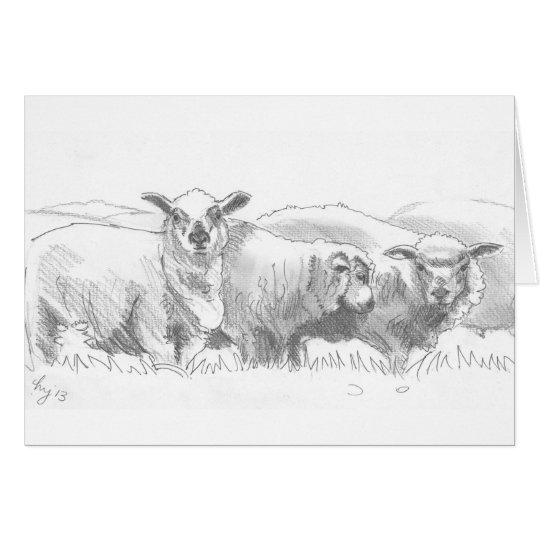 Sheep Flock Drawing Card