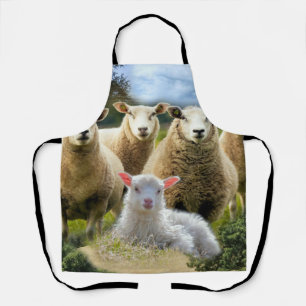 Sheep Flock Sheep Herd Baby Lamb Apron