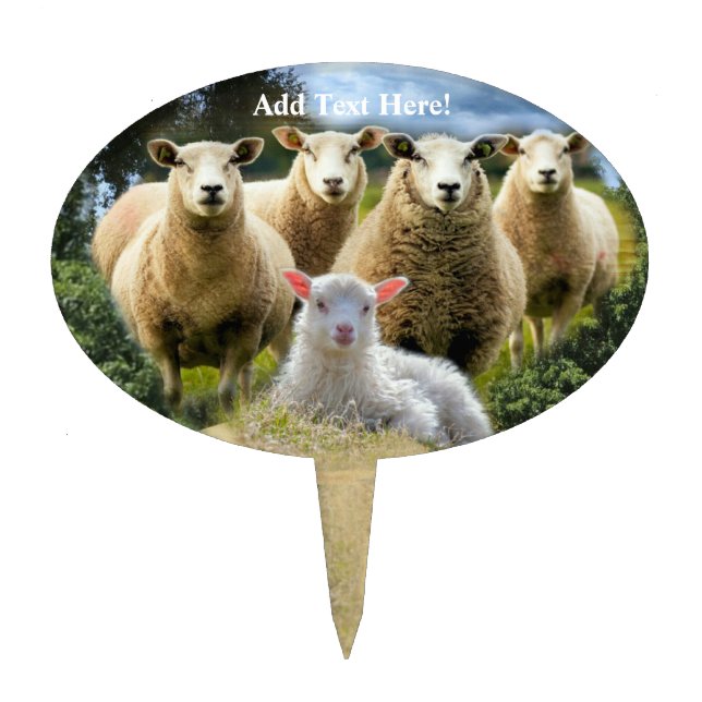 Sheep Flock Sheep Herd Baby Lamb Cake Topper (Front)