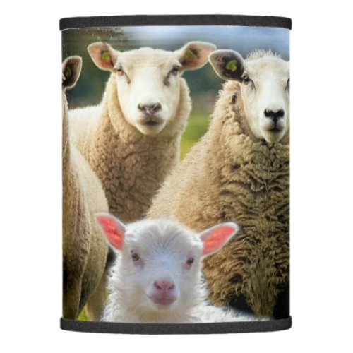 Sheep Flock Sheep Herd Baby Lamb Lamp Shade