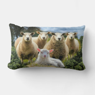 Sheep Flock Sheep Herd Baby Lamb Lumbar Pillow
