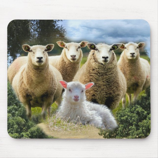 Sheep Flock Sheep Herd Baby Lamb Mouse Pad (Front)