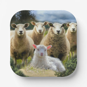 Sheep Flock Sheep Herd Baby Lamb Paper Plates