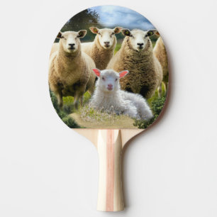 Sheep Flock Sheep Herd Baby Lamb Ping Pong Paddle