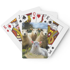 Sheep Flock Sheep Herd Baby Lamb Poker Cards