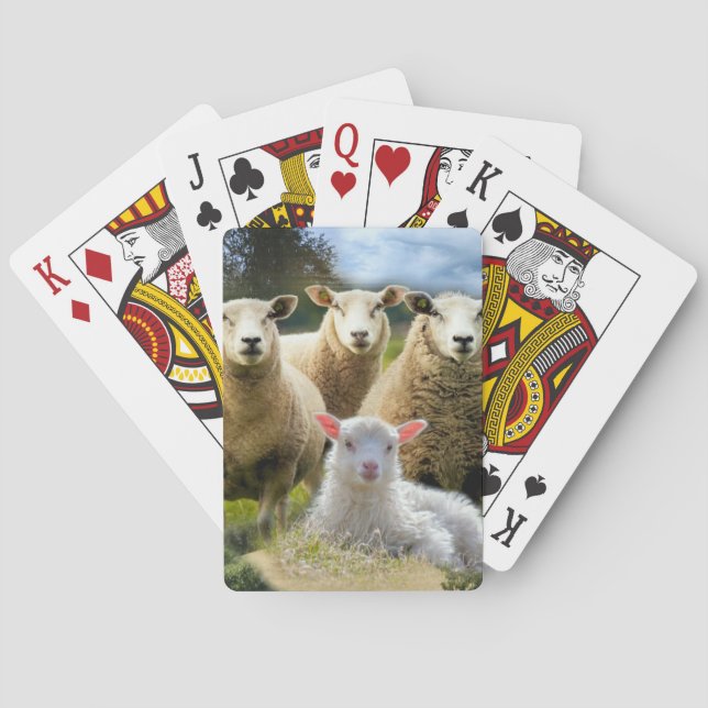 Sheep Flock Sheep Herd Baby Lamb Poker Cards (Back)