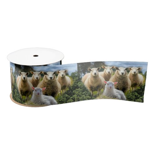Sheep Flock Sheep Herd Baby Lamb Satin Ribbon