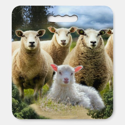 Sheep Flock Sheep Herd Baby Lamb Seat Cushion