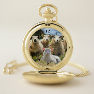 Sheep Flock Sheep Herd Baby Lamb Sheep Farm Pocket Watch