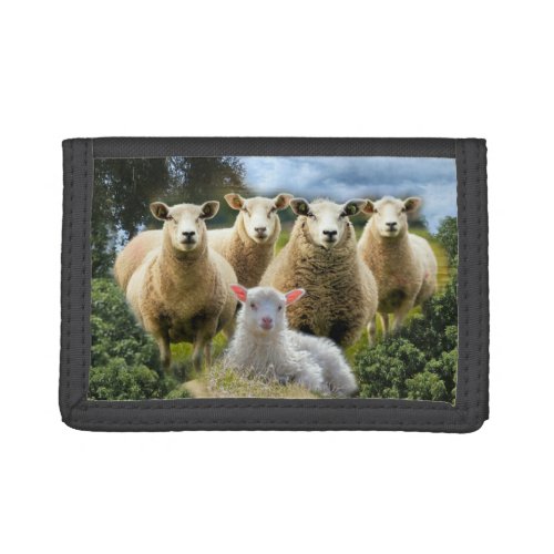 Sheep Flock Sheep Herd Baby Lamb Trifold Wallet