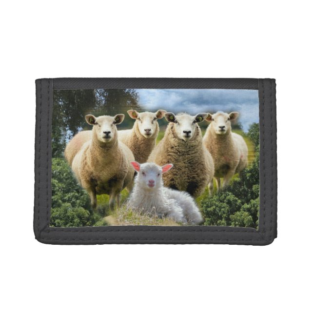 Sheep Flock Sheep Herd Baby Lamb Trifold Wallet (Front)