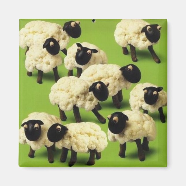 Sheep Food Magnet (Front)