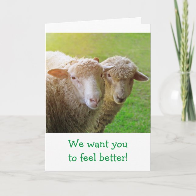 Sheep Friends Get Well Card (Front)