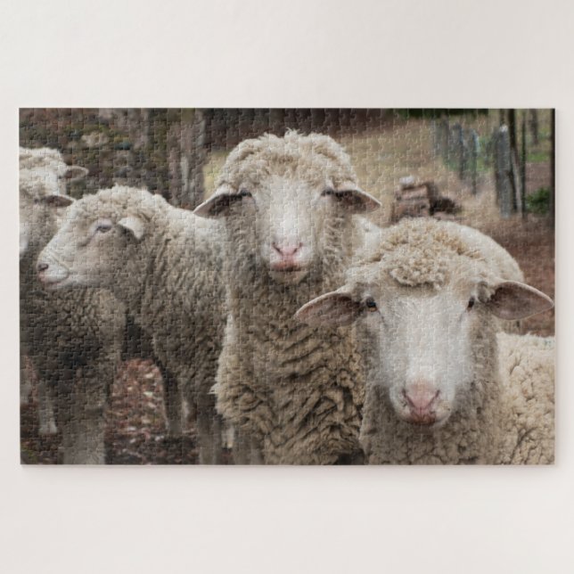 Sheep Friends Jigsaw Puzzle (Horizontal)
