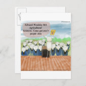 Sheep Graduation Day Funny Announcement Postcard (Front/Back)