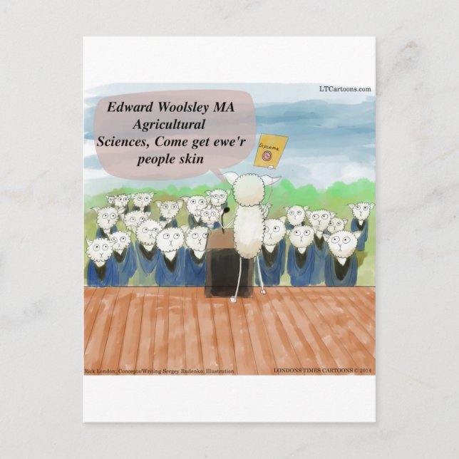 Sheep Graduation Day Funny Announcement Postcard (Front)