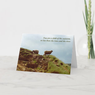 Sheep graze on a Mountain UK Peaks Desiderata card