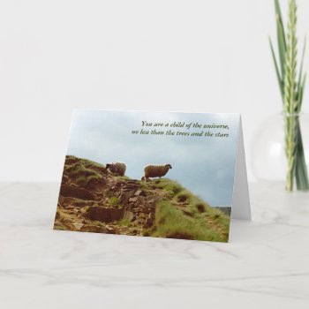 Sheep Graze On A Mountain Uk Peaks Desiderata Card by DigitalDreambuilder at Zazzle