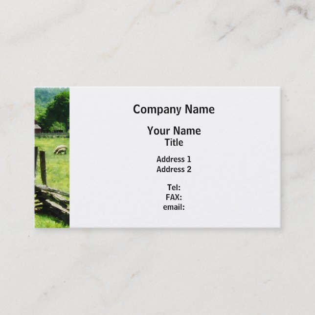 Sheep Grazing in Pasture Business Card (Front)