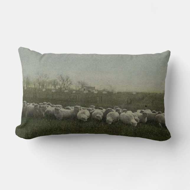 sheep grazing photo 1918 lumbar pillow (Front)