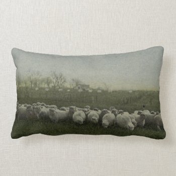 Sheep Grazing Photo 1918 Lumbar Pillow by lostlit at Zazzle