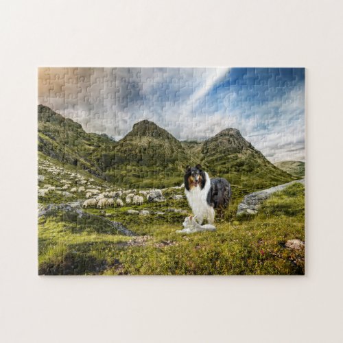 Sheep Herding Tricolor Rough Collie in Highlands _ Jigsaw Puzzle