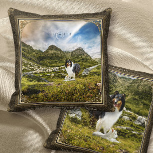 Sheep Herding Tricolor Rough Collie in Highlands - Throw Pillow
