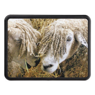 SHEEP HITCH COVER